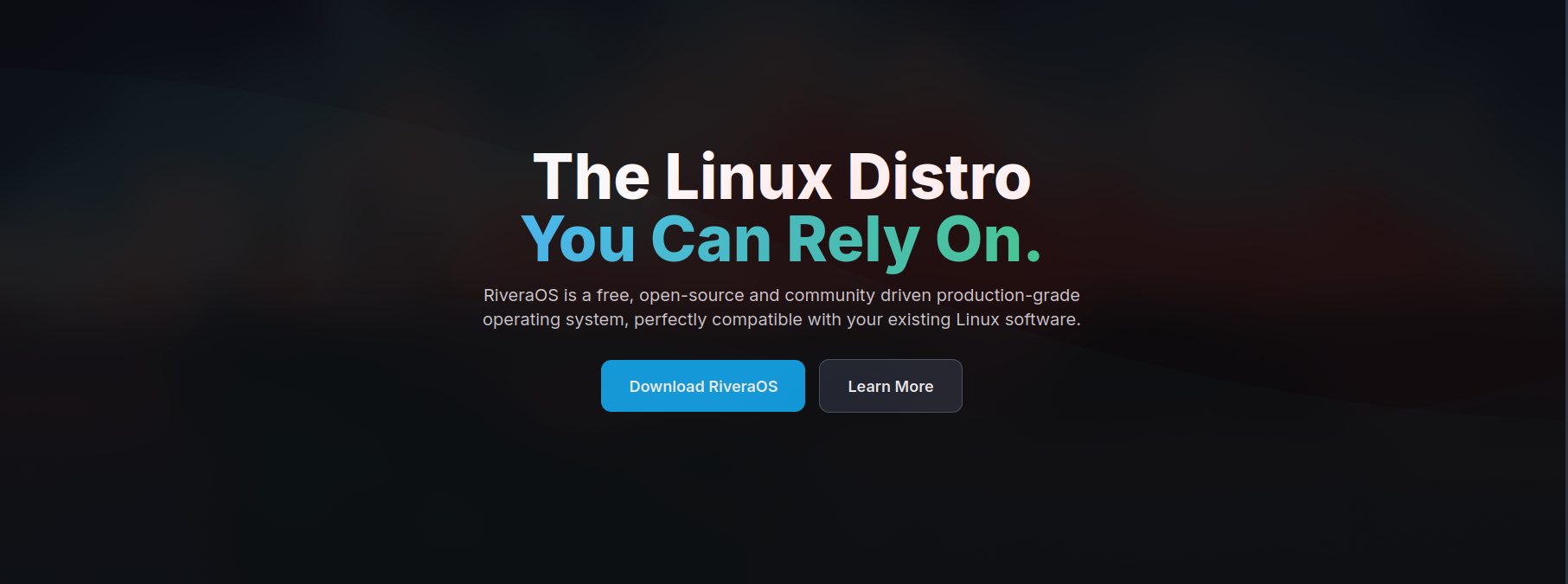 Screenshot of Rivera OS's Website
