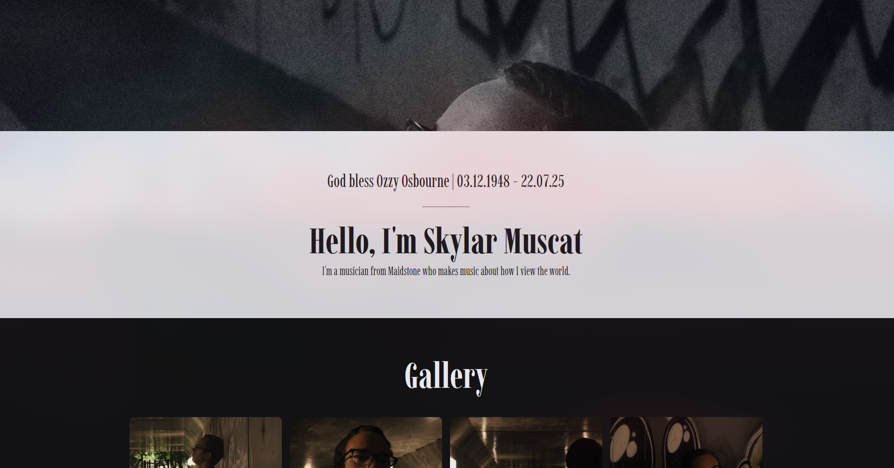 Screenshot of Skylar Muscat's Website